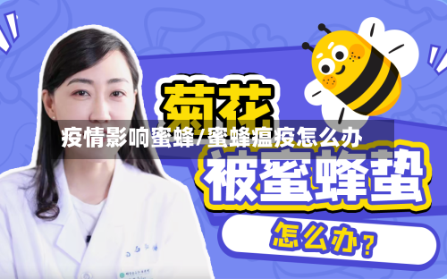 疫情影响蜜蜂/蜜蜂瘟疫怎么办