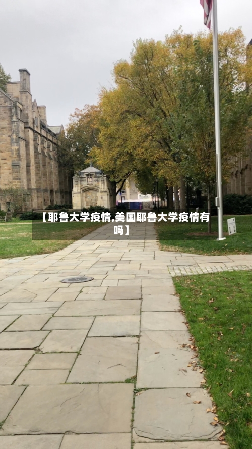 【耶鲁大学疫情,美国耶鲁大学疫情有吗】-第2张图片