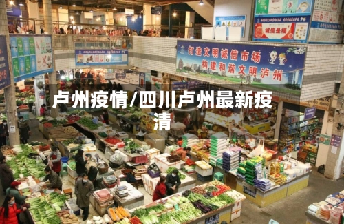 卢州疫情/四川卢州最新疫清-第3张图片