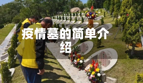 疫情墓的简单介绍