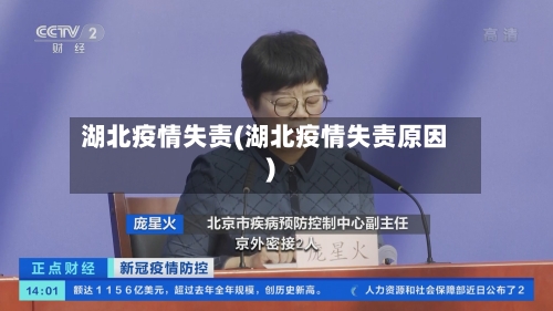 湖北疫情失责(湖北疫情失责原因)-第3张图片