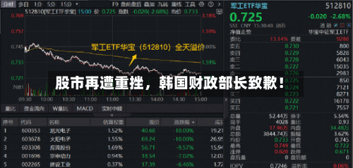 股市再遭重挫，韩国财政部长致歉！