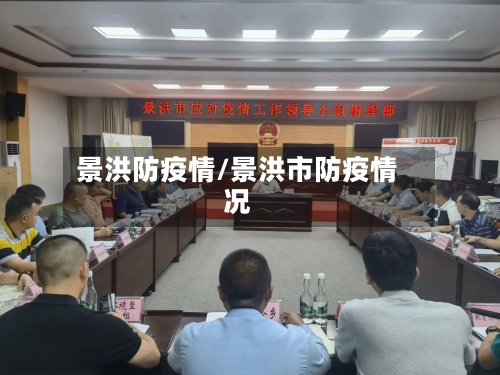 景洪防疫情/景洪市防疫情况-第2张图片