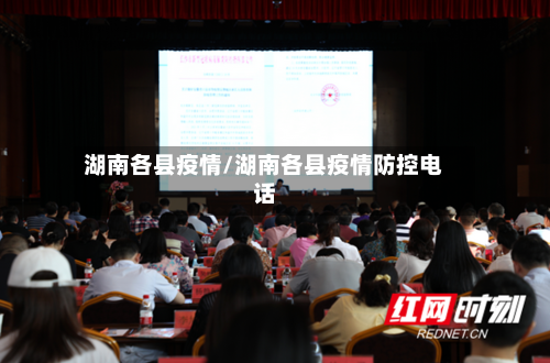 湖南各县疫情/湖南各县疫情防控电话-第2张图片