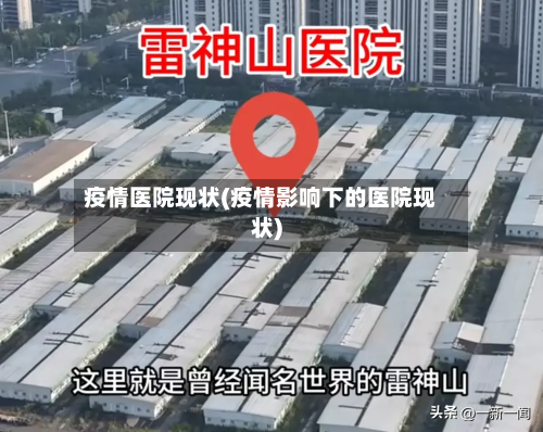 疫情医院现状(疫情影响下的医院现状)-第3张图片