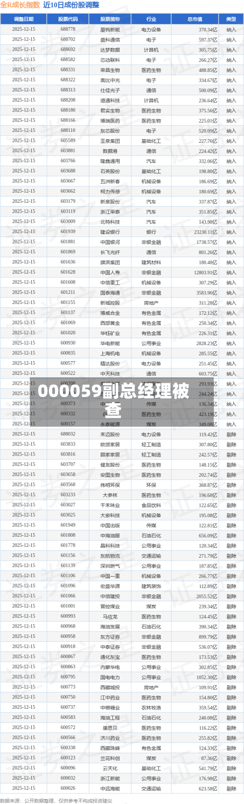 000059副总经理被查