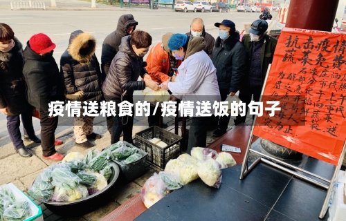 疫情送粮食的/疫情送饭的句子