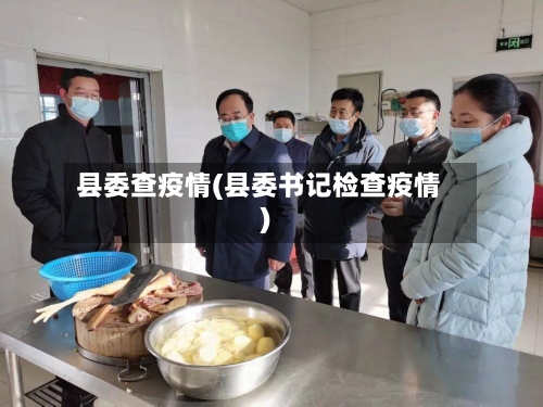 县委查疫情(县委书记检查疫情)
