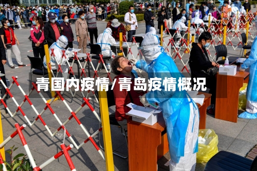 青国内疫情/青岛疫情概况-第2张图片