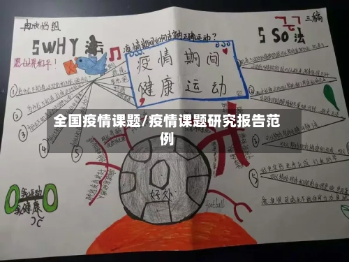 全国疫情课题/疫情课题研究报告范例-第3张图片