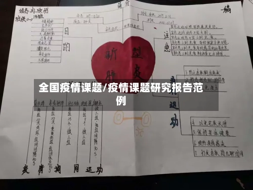 全国疫情课题/疫情课题研究报告范例-第2张图片
