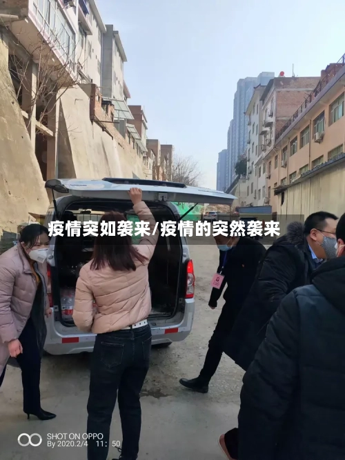 疫情突如袭来/疫情的突然袭来