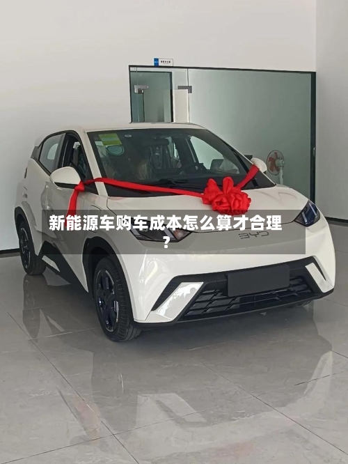 新能源车购车成本怎么算才合理？