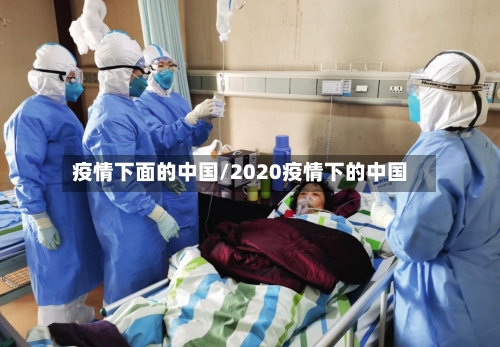 疫情下面的中国/2020疫情下的中国