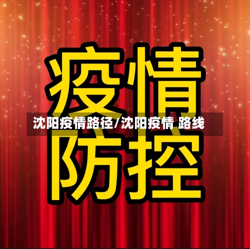 沈阳疫情路径/沈阳疫情 路线-第2张图片