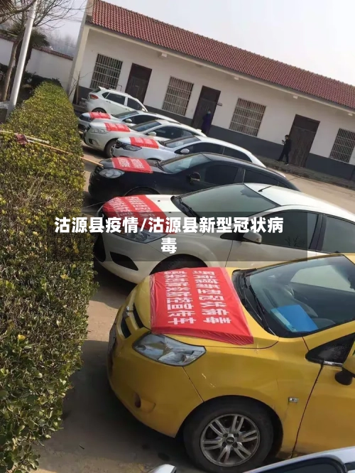 沽源县疫情/沽源县新型冠状病毒-第3张图片