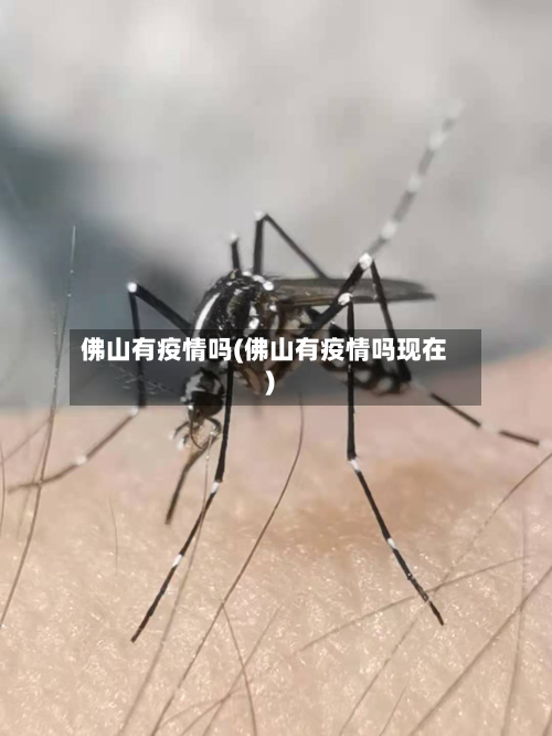 佛山有疫情吗(佛山有疫情吗现在)-第2张图片