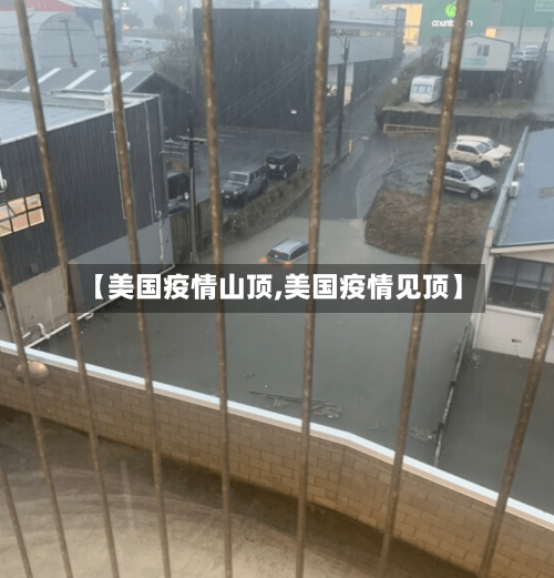 【美国疫情山顶,美国疫情见顶】