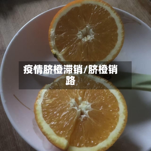 疫情脐橙滞销/脐橙销路-第2张图片