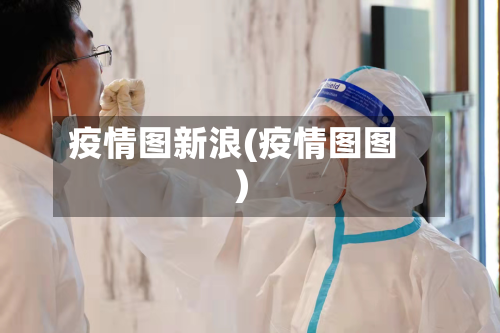 疫情图新浪(疫情图图)