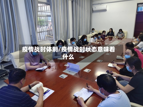 疫情战时体制/疫情战时状态意味着什么