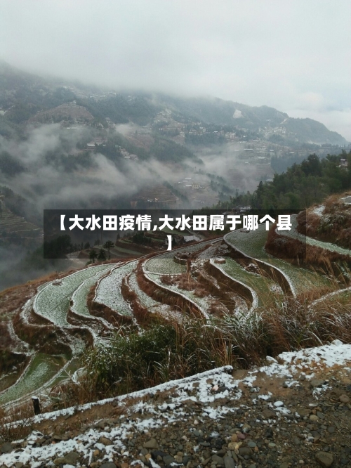 【大水田疫情,大水田属于哪个县】