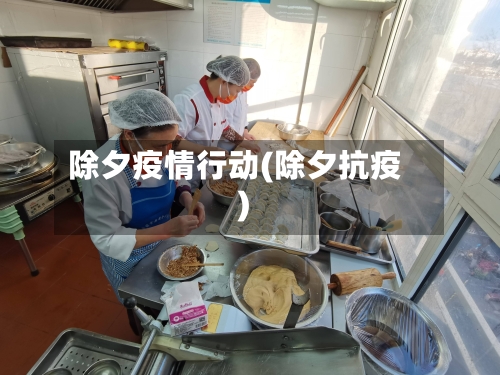 除夕疫情行动(除夕抗疫)-第2张图片