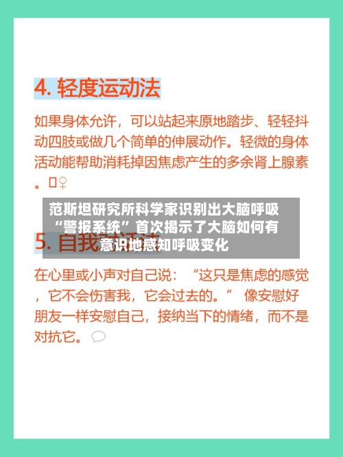 范斯坦研究所科学家识别出大脑呼吸“警报系统	” 首次揭示了大脑如何有意识地感知呼吸变化-第2张图片
