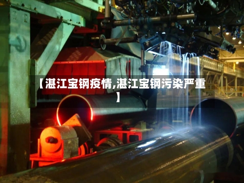 【湛江宝钢疫情,湛江宝钢污染严重】-第3张图片