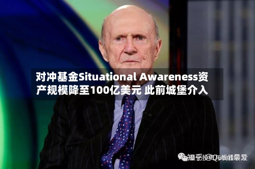 对冲基金Situational Awareness资产规模降至100亿美元 此前城堡介入-第3张图片