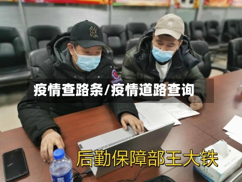 疫情查路条/疫情道路查询-第2张图片