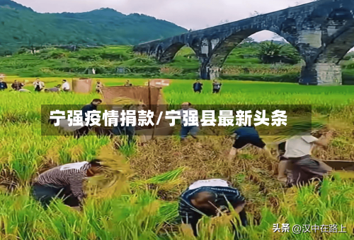 宁强疫情捐款/宁强县最新头条-第3张图片