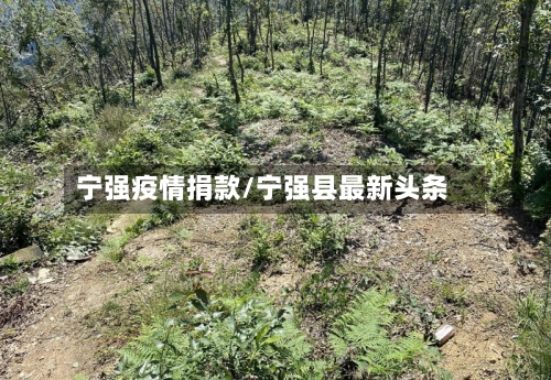 宁强疫情捐款/宁强县最新头条