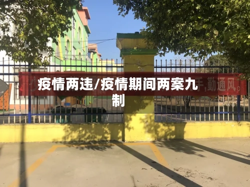 疫情两违/疫情期间两案九制