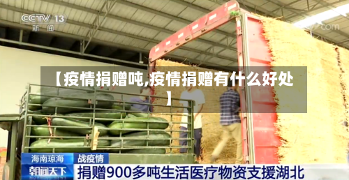 【疫情捐赠吨,疫情捐赠有什么好处】-第3张图片