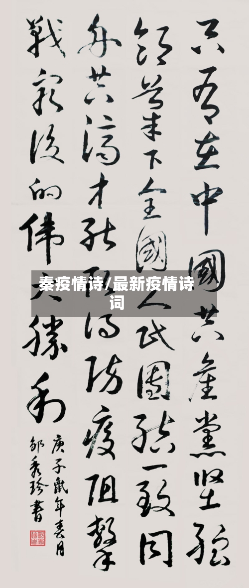 秦疫情诗/最新疫情诗词-第2张图片