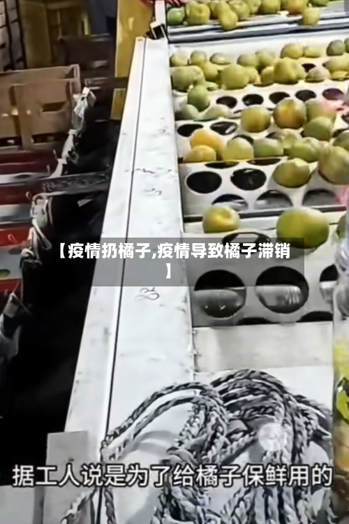 【疫情扔橘子,疫情导致橘子滞销】-第2张图片