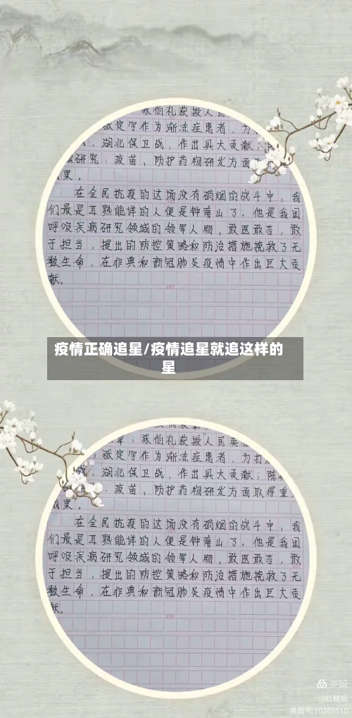 疫情正确追星/疫情追星就追这样的星-第2张图片