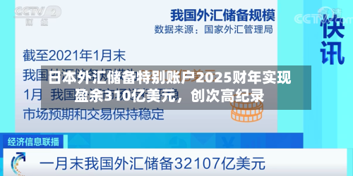 日本外汇储备特别账户2025财年实现盈余310亿美元，创次高纪录
