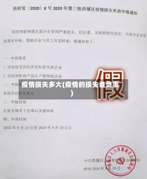 疫情损失多大(疫情的损失谁负责)-第3张图片