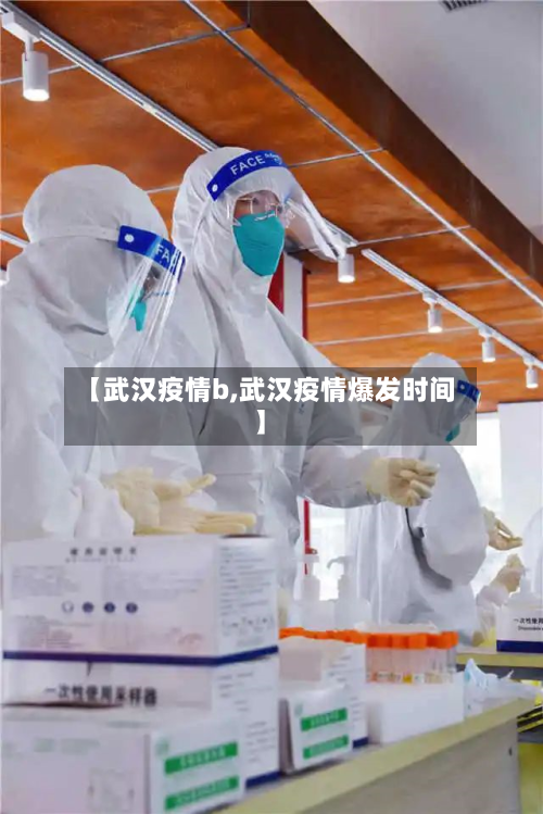 【武汉疫情b,武汉疫情爆发时间】-第2张图片