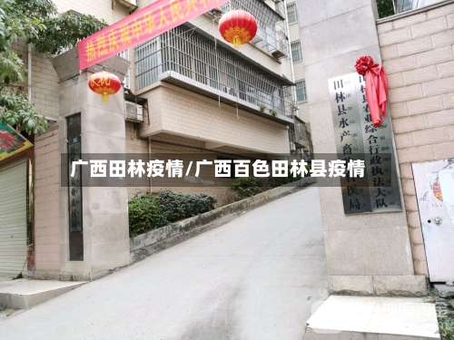 广西田林疫情/广西百色田林县疫情-第2张图片