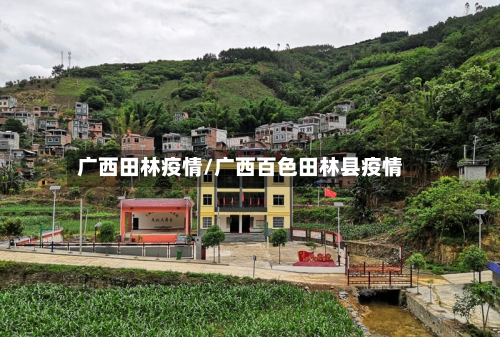 广西田林疫情/广西百色田林县疫情