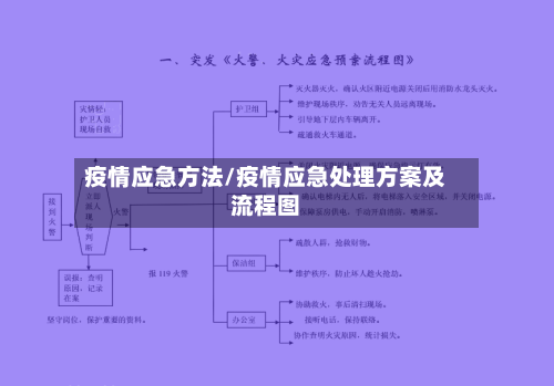 疫情应急方法/疫情应急处理方案及流程图