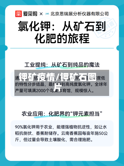 钾矿疫情/钾矿石图片