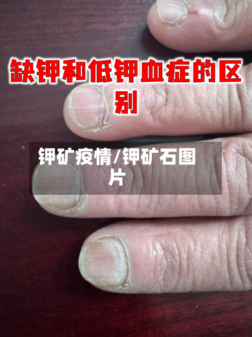 钾矿疫情/钾矿石图片-第2张图片