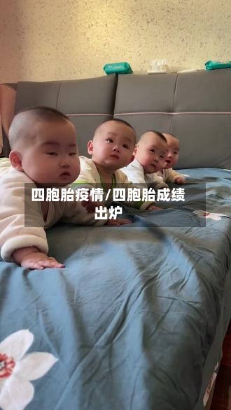 四胞胎疫情/四胞胎成绩出炉