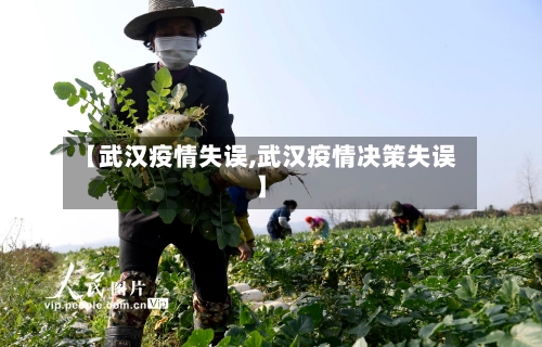 【武汉疫情失误,武汉疫情决策失误】