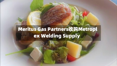 Meritus Gas Partners收购Metroplex Welding Supply