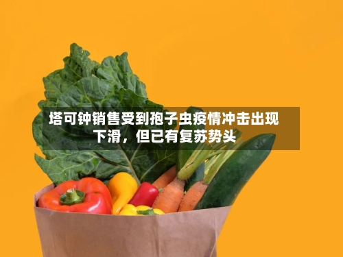塔可钟销售受到孢子虫疫情冲击出现下滑，但已有复苏势头-第3张图片